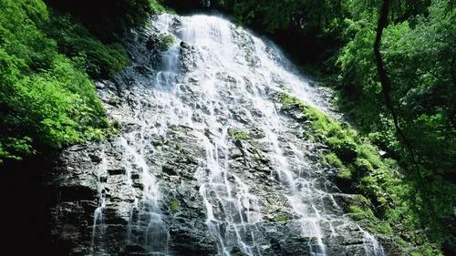 工业数字化